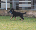 Tragen