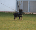 Hab's se!