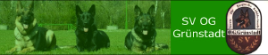 Banner SV OG Grünstadt