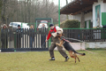SD2011_12