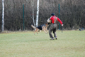 SD2011_14