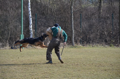 Lange Flucht