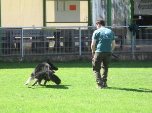 Spielen 5