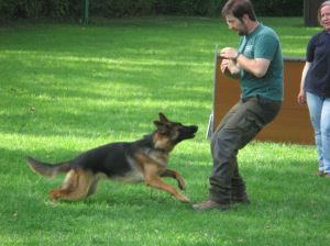 Spielen 4