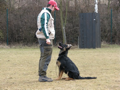 Vorsitz 2
