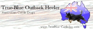 Banner tmba 