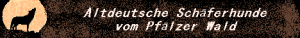 Banner Steffi & Michel